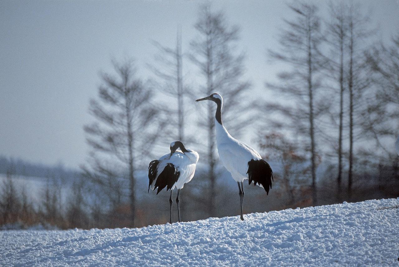 Green Park Tsurui ภายนอก รูปภาพ